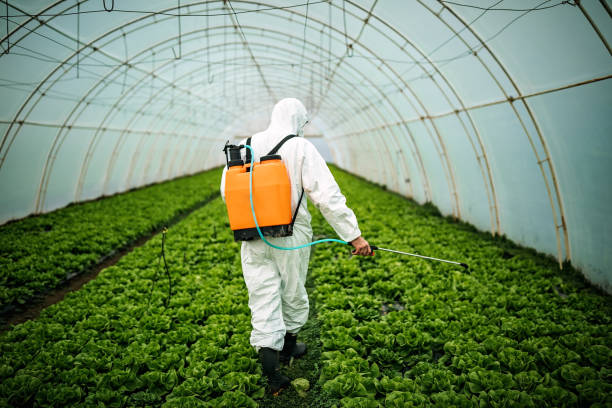 Best Pest Prevention Services  in Yaphank, NY
