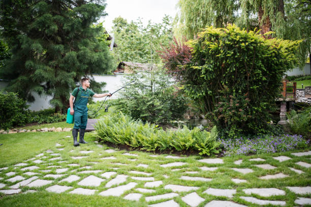 Best Pest Removal Services  in Yaphank, NY