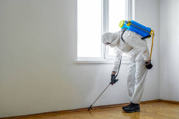 Pest Control for Restaurants in Yaphank, NY