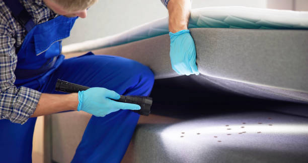 Best Wasp Removal Services  in Yaphank, NY