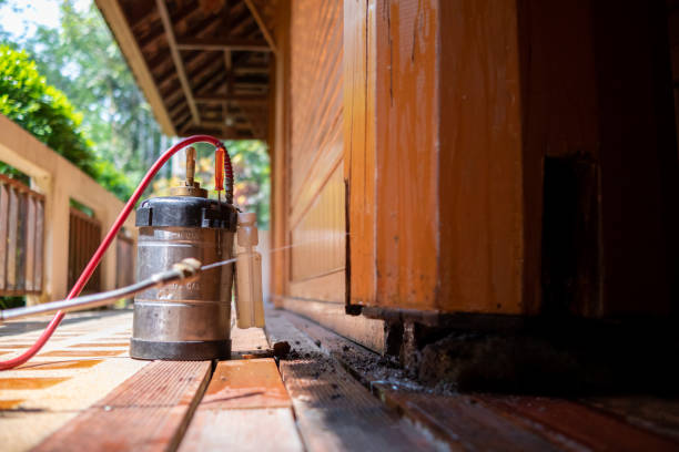 Best Pest Removal Services  in Yaphank, NY